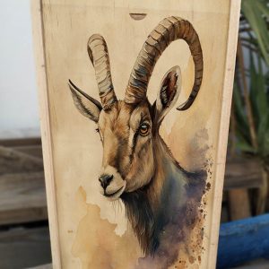 Copas muflón
