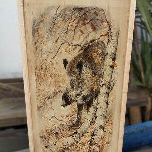 Copas Jabalí 2